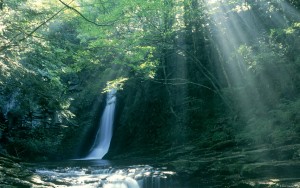 Akame Shijyuhachi Waterfall, Japan