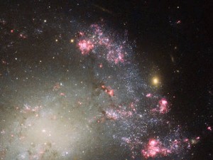 Bursts of pink and red, dark lanes of mottled cosmic dust, and a bright scattering of stars — this NASA/ESA Hubble Space Telescope image shows part of a messy barred spiral galaxy known as NGC 428. It lies approximately 48 million light-years away from Earth in the constellation of Cetus (The Sea Monster). Although a spiral shape is still just about visible in this close-up shot, overall NGC 428’s spiral structure appears to be quite distorted and warped, thought to be a result of a collision between two galaxies. There also appears to be a substantial amount of star formation occurring within NGC 428 — another telltale sign of a merger. When galaxies collide their clouds of gas can merge, creating intense shocks and hot pockets of gas and often triggering new waves of star formation. NGC 428 was discovered by William Herschel in December 1786. More recently a type Ia supernova designated SN2013ct was discovered within the galaxy by Stuart Parker of the BOSS (Backyard Observatory Supernova Search) project in Australia and New Zealand, although it is unfortunately not visible in this image. This image was captured by Hubble’s Advanced Camera for Surveys (ACS) and Wide Field and Planetary Camera 2 (WFPC2). A version of this image was entered into the Hubble’s Hidden Treasures Image Processing competition by contestants Nick Rose and the Flickr user penninecloud. Links: Nick Rose’s image on Flickr Penninecloud’s image on Flickr